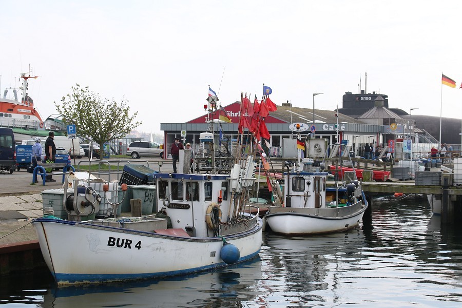 Fehmarn April 2019_28