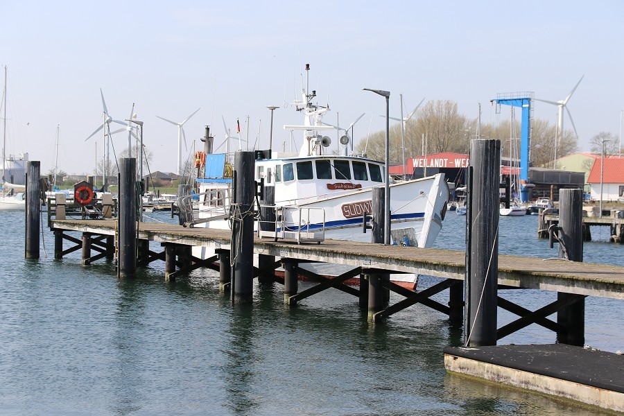 Fehmarn April 2019_3