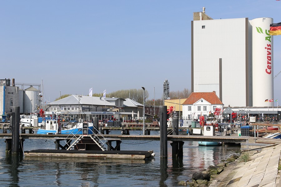 Fehmarn April 2019_4