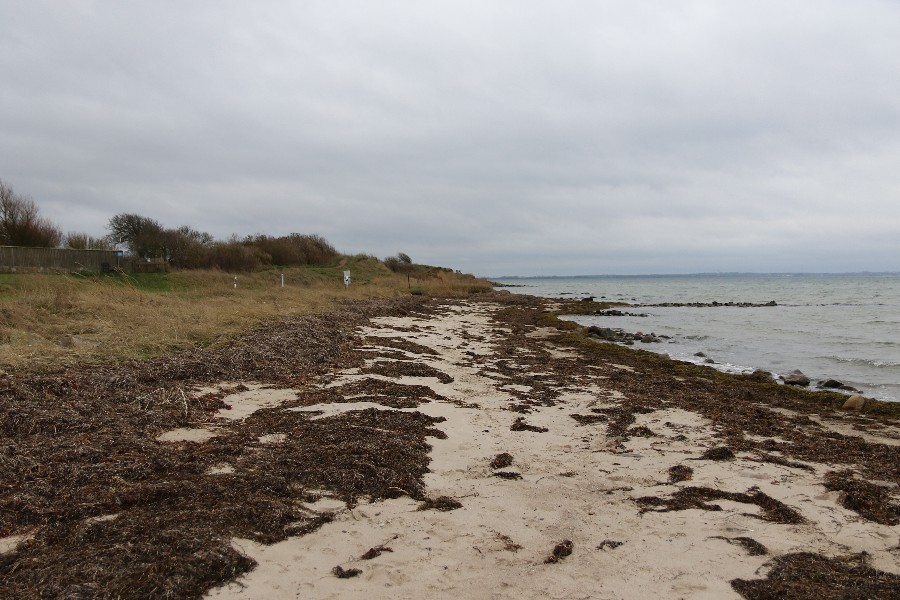 Fehmarn Dezember 2018_15