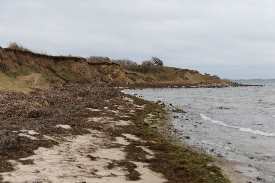 Fehmarn Dezember 2018_16