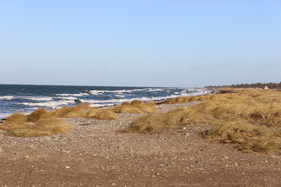 Fehmarn Dezember 2018_37