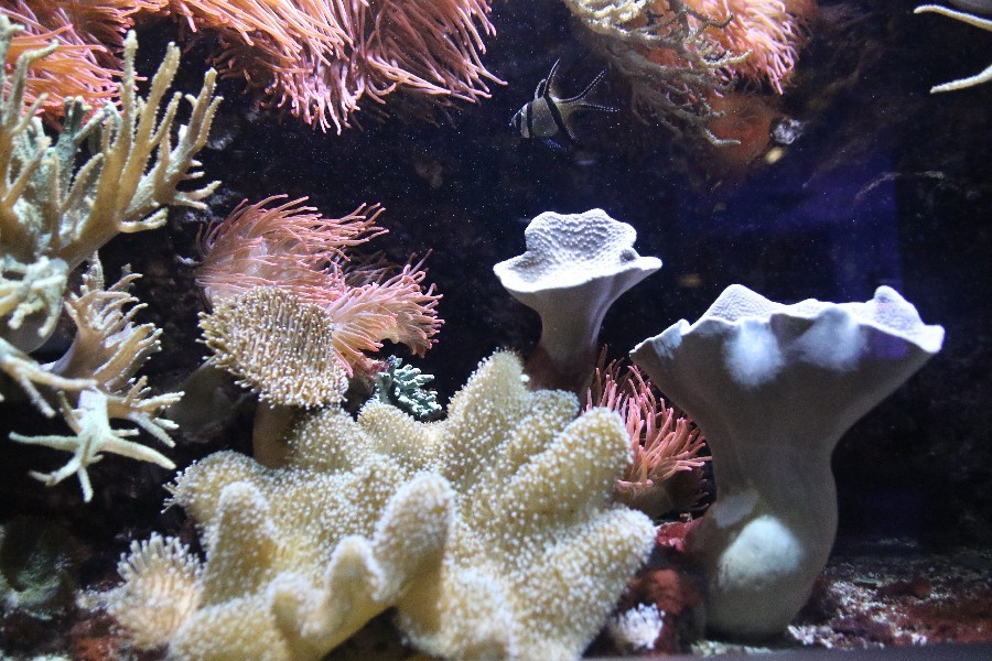 Fehmarn Dezember 2018_56