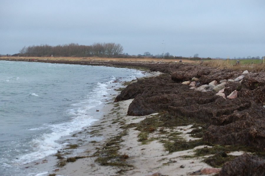 Fehmarn Dezember 2018_66