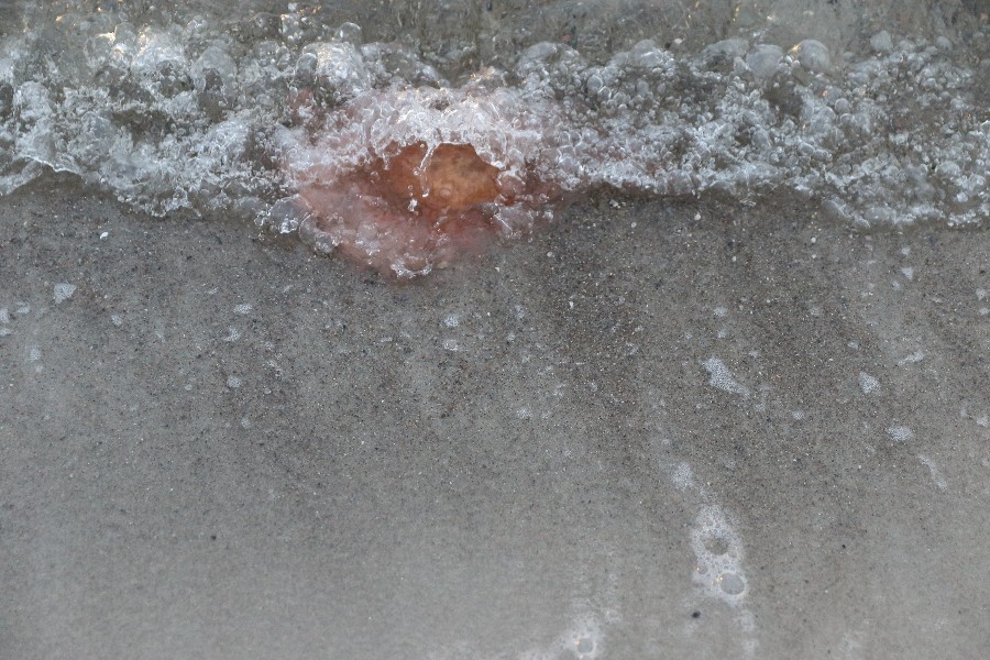 Fehmarn Dezember 2018_90
