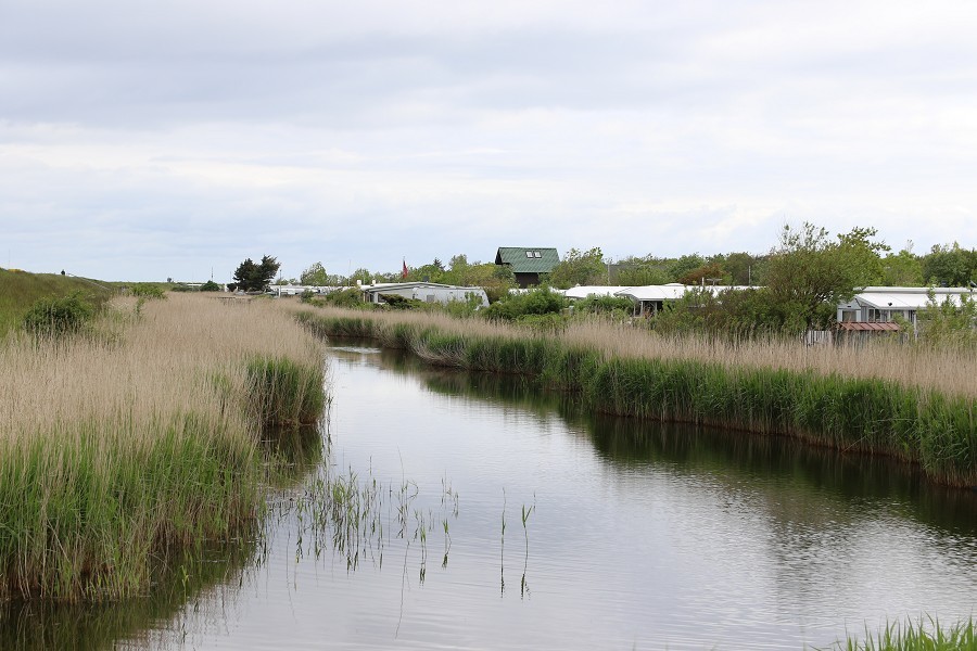 Fehmarn Mai 2019_13