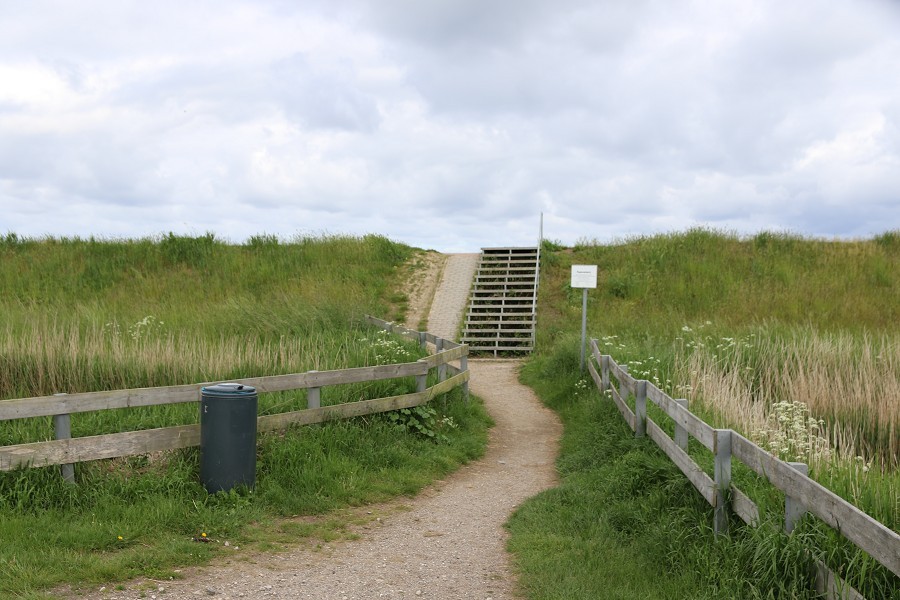 Fehmarn Mai 2019_14