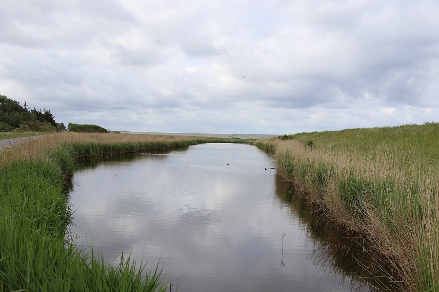 Fehmarn Mai 2019_15