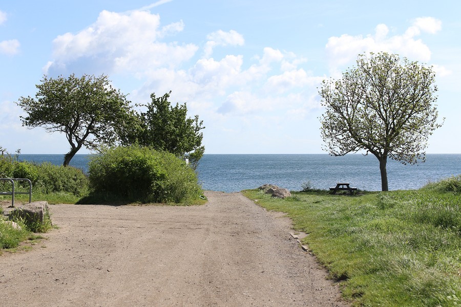 Fehmarn Mai 2019_1