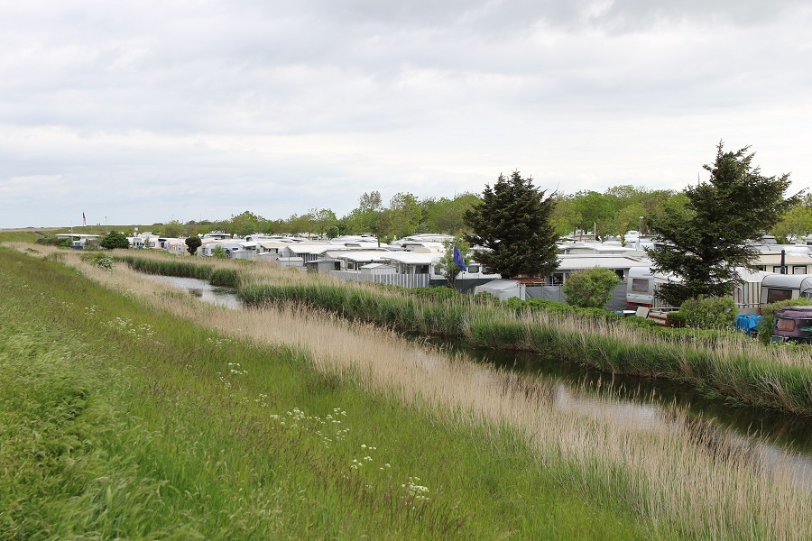 Fehmarn Mai 2019_21