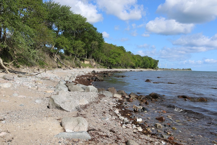 Fehmarn Mai 2019_42
