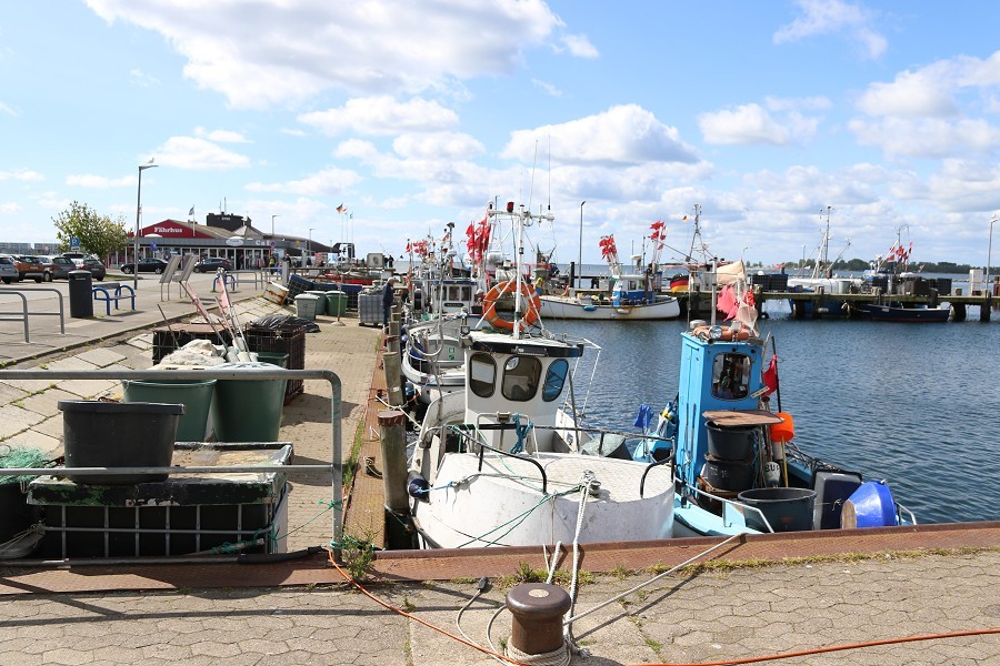 Fehmarn Mai 2019_44