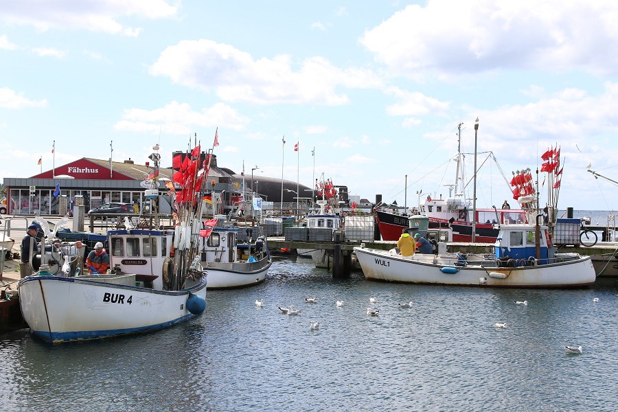 Fehmarn Mai 2019_50