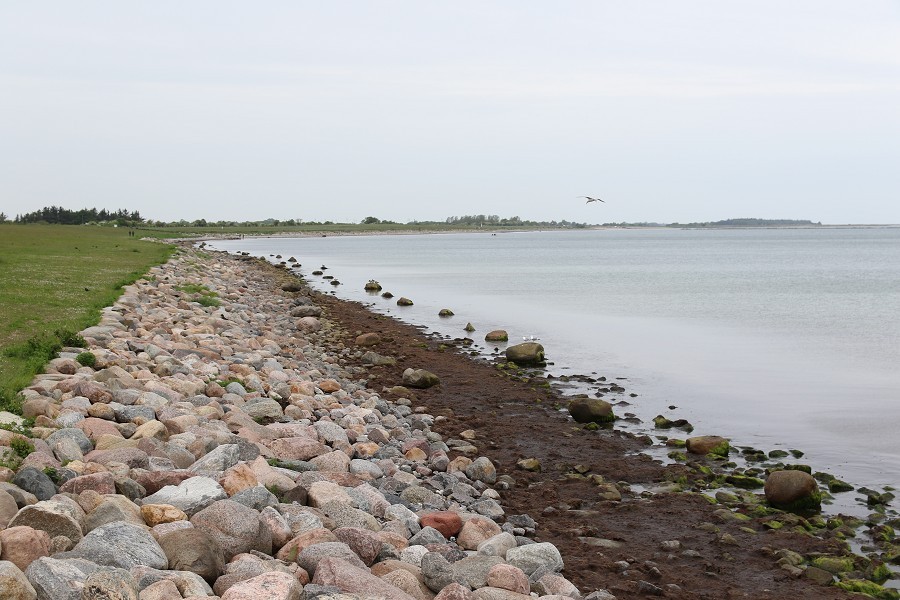 Fehmarn Mai 2019_54