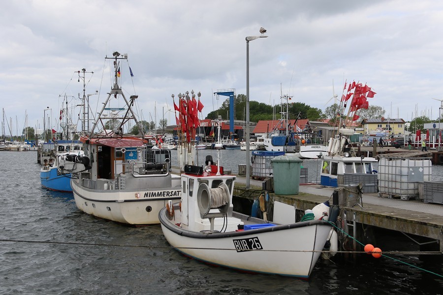 Fehmarn Mai 2019_5