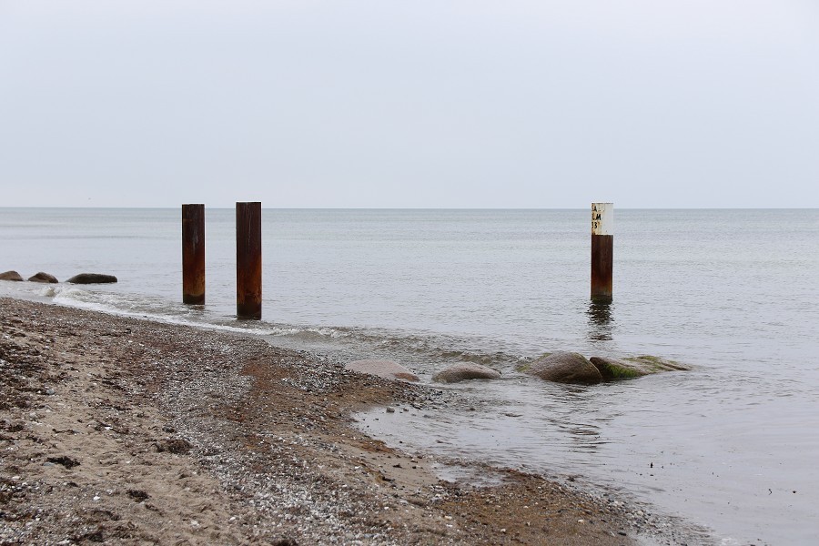 Fehmarn Mai 2019_62