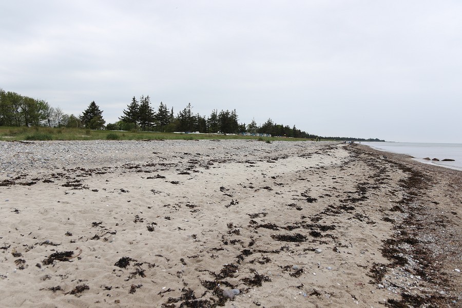 Fehmarn Mai 2019_63