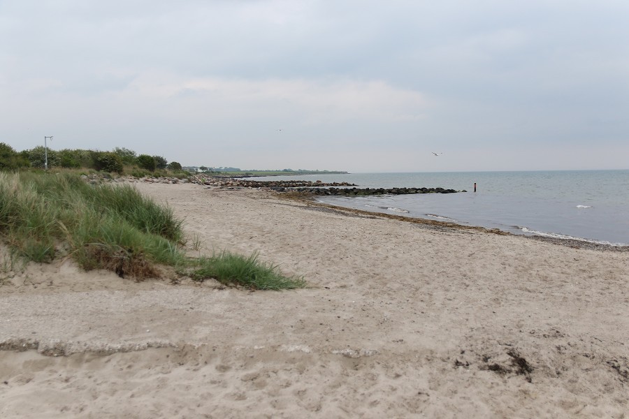 Fehmarn Mai 2019_70