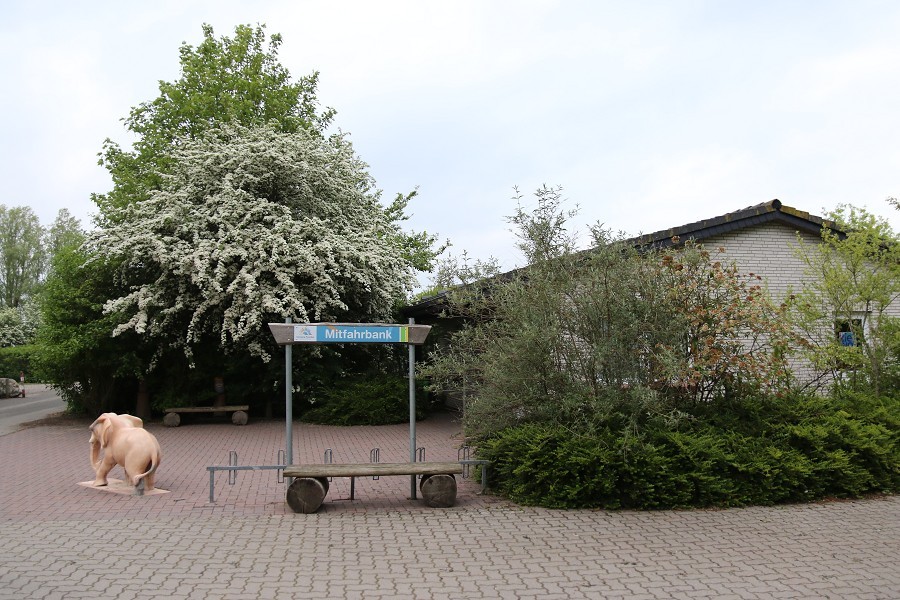 Fehmarn Mai 2019_71