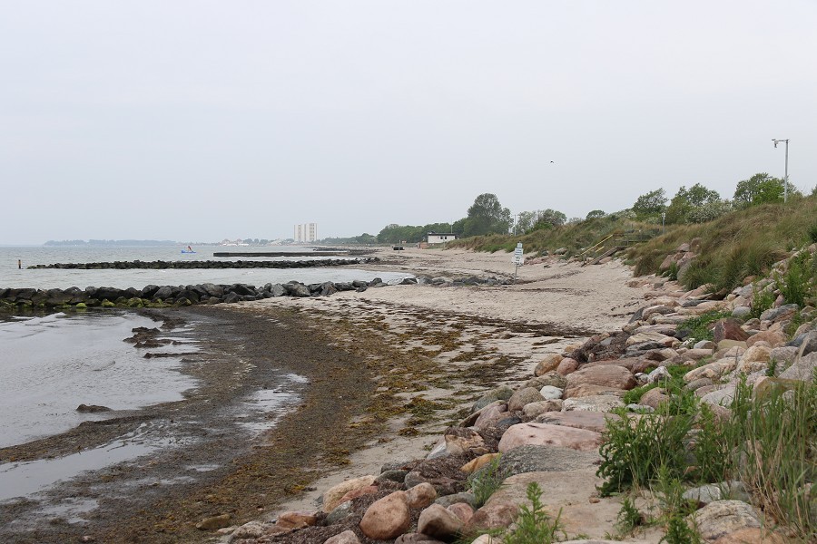 Fehmarn Mai 2019_72