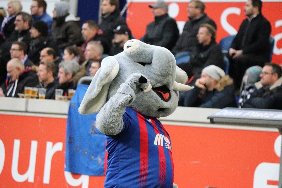 KFC Uerdingen- FC Hansa Rostock (2018/19)_6