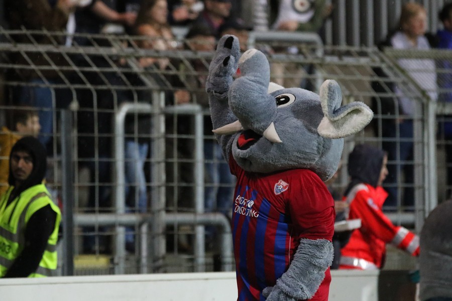 KFC Uerdingen- FC Wegberg-Beeck (2017/18)_25