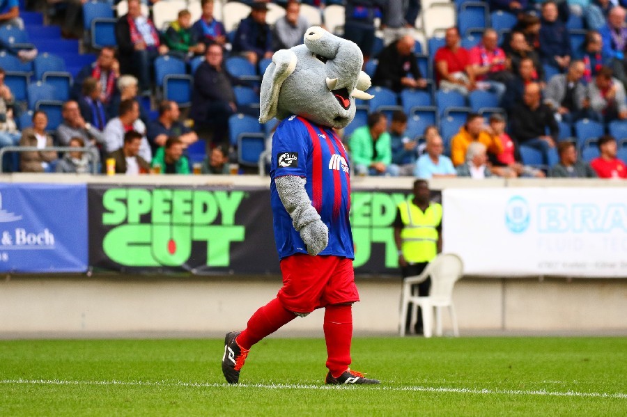 KFC Uerdingen- SG Sonnenhof Großaspach (2018/19)_32