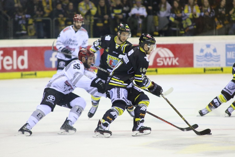 Krefeld Pinguine- Kölner Haie (2018/19)_11