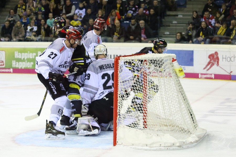 Krefeld Pinguine- Kölner Haie (2018/19)_23