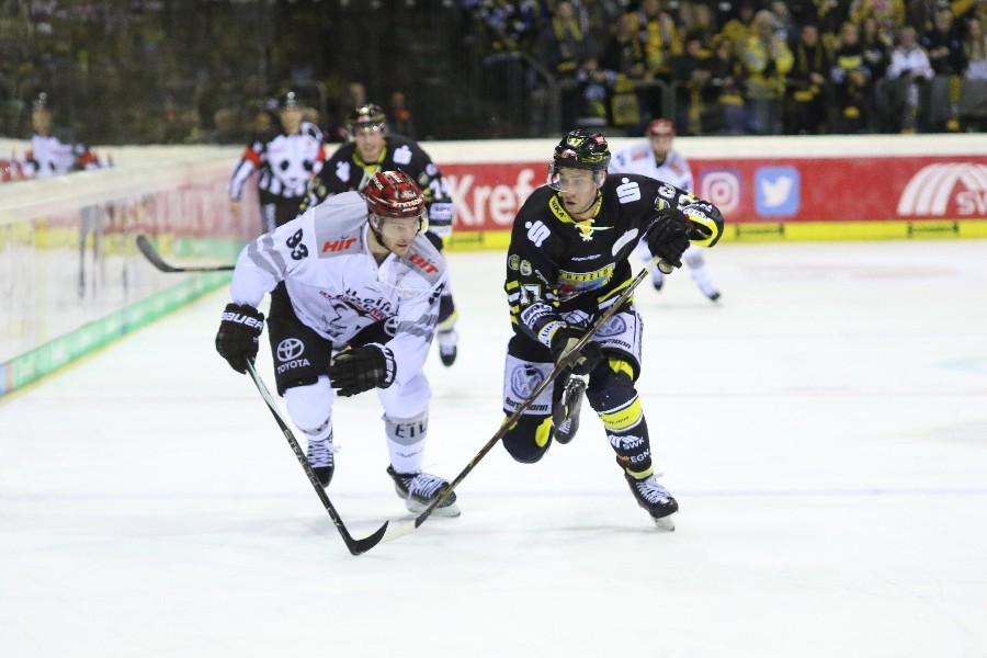 Krefeld Pinguine- Kölner Haie (2018/19)_26