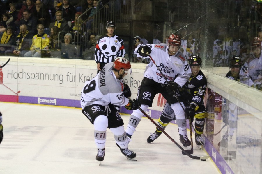 Krefeld Pinguine- Kölner Haie (2018/19)_28