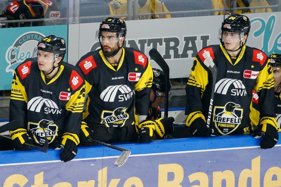 Krefeld Pinguine vs. Kölner Haie (2020/21)_11