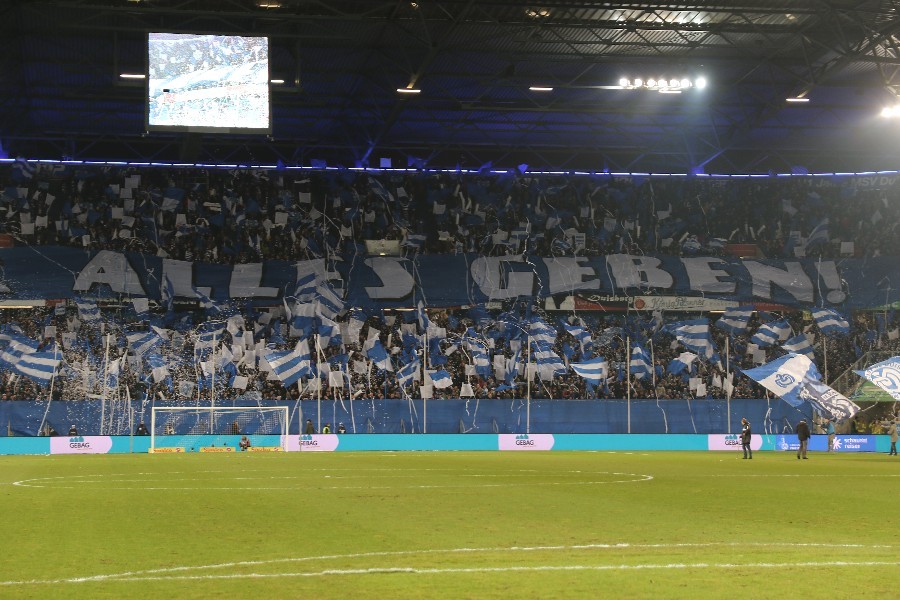 MSV Duisburg- Hamburger SV (2018/19)_27