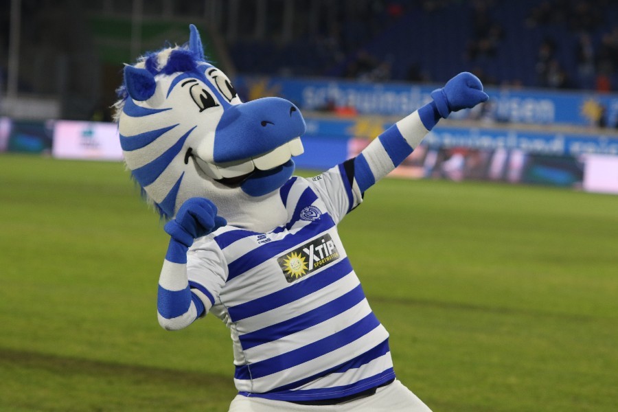 MSV Duisburg- SV Darmstadt 98 (2018/19)_10
