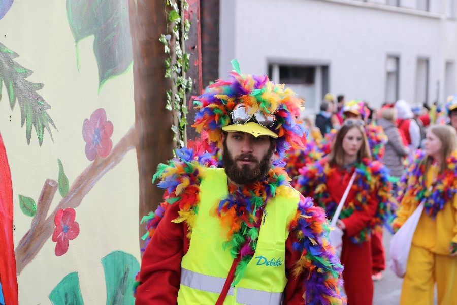 Rosenmontagszug Dülken 2018_33