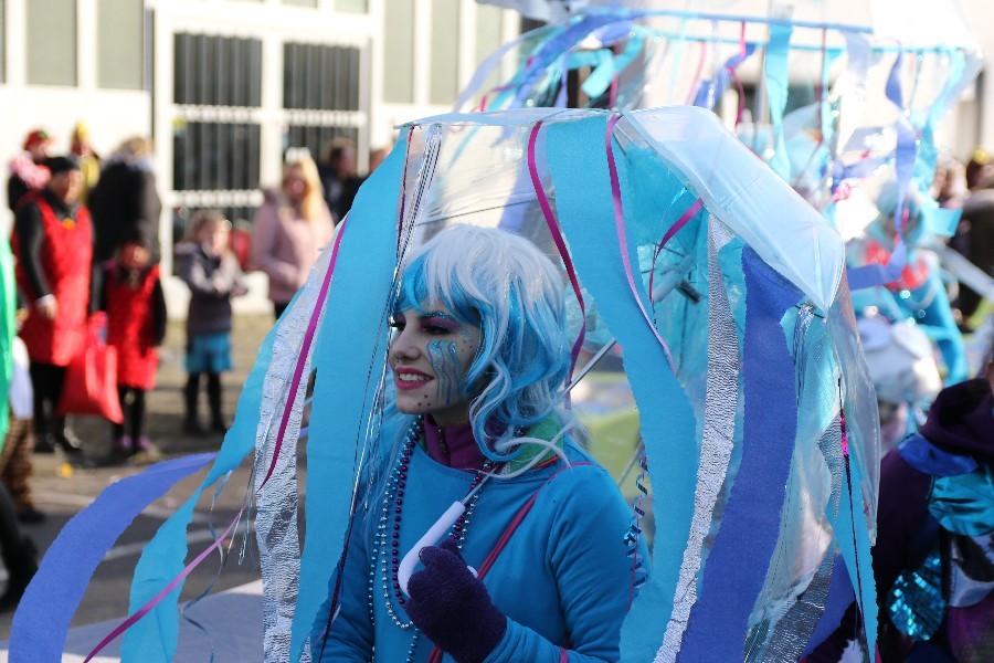 Rosenmontagszug Dülken 2018_94