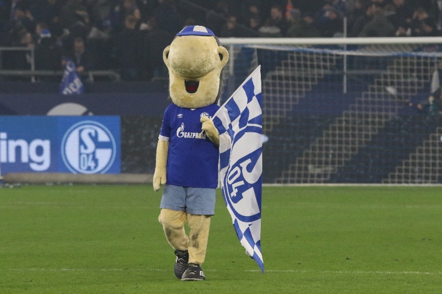 Schalke 04- Borussia Mönchengladbach (2018/19)_6