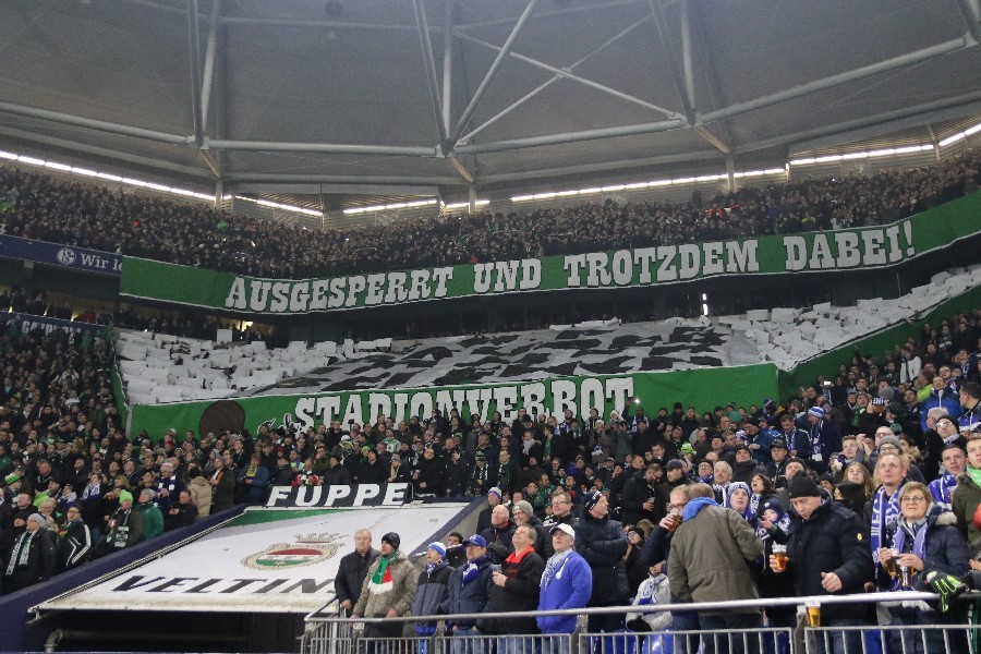 Schalke 04- Borussia Mönchengladbach (2018/19)_9