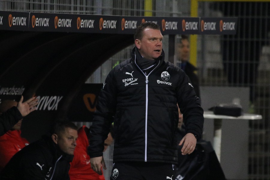 SV Sandhausen- SV Darmstadt 98 (2018/19)_14