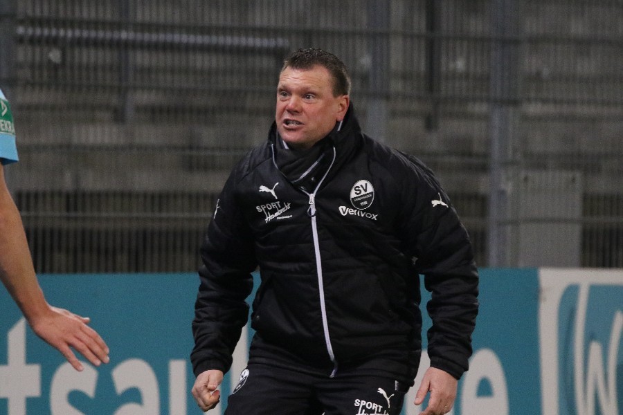 SV Sandhausen- SV Darmstadt 98 (2018/19)_15