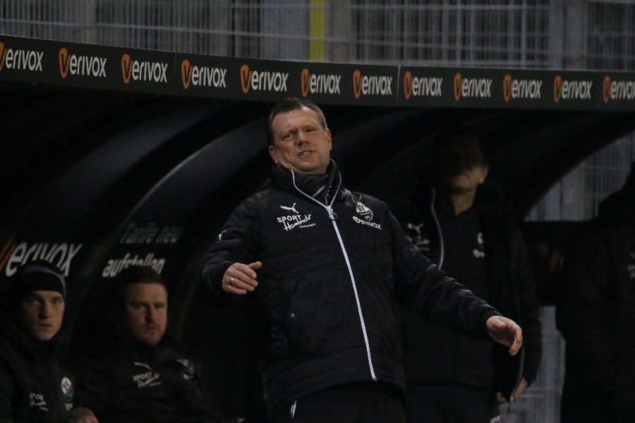 SV Sandhausen- SV Darmstadt 98 (2018/19)_29