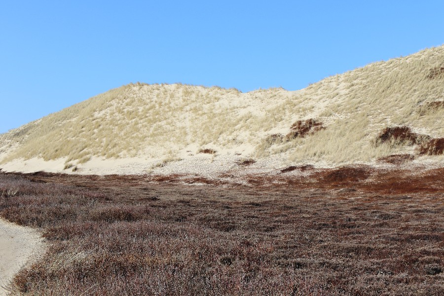 Sylt 2018_10