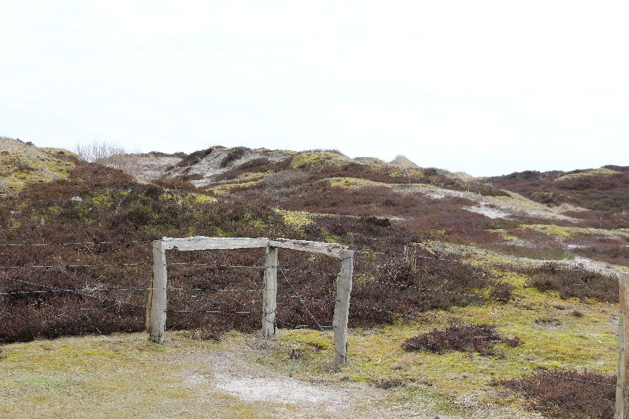 Sylt 2018_29