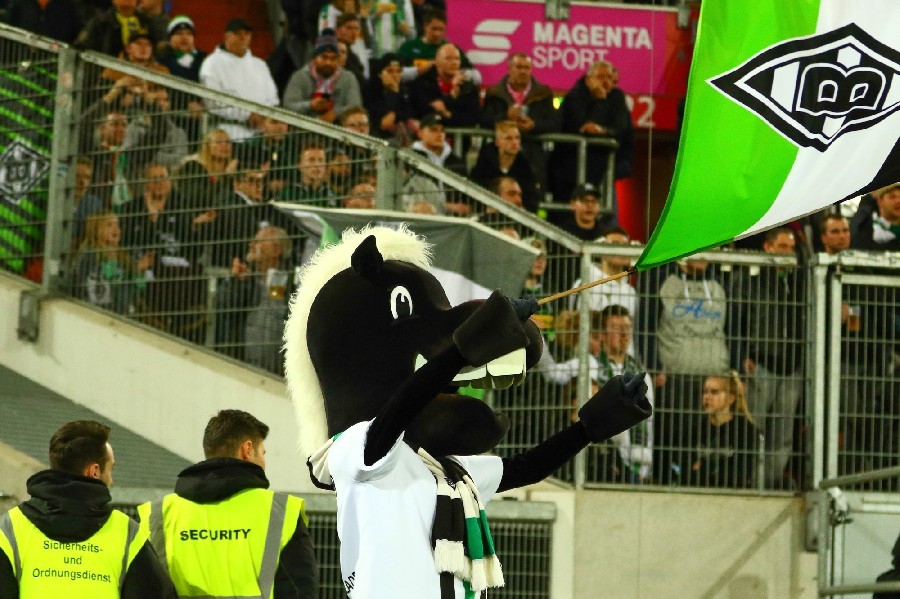 Telekom Cup 2019_70