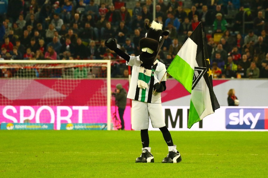Telekom Cup 2019_8