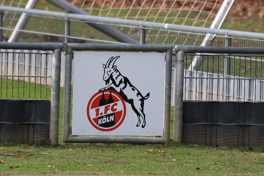 Training 1. FC Köln 19.02.2019_11