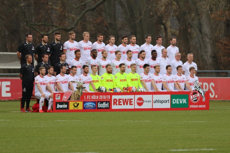 Training 1. FC Köln 19.02.2019_1