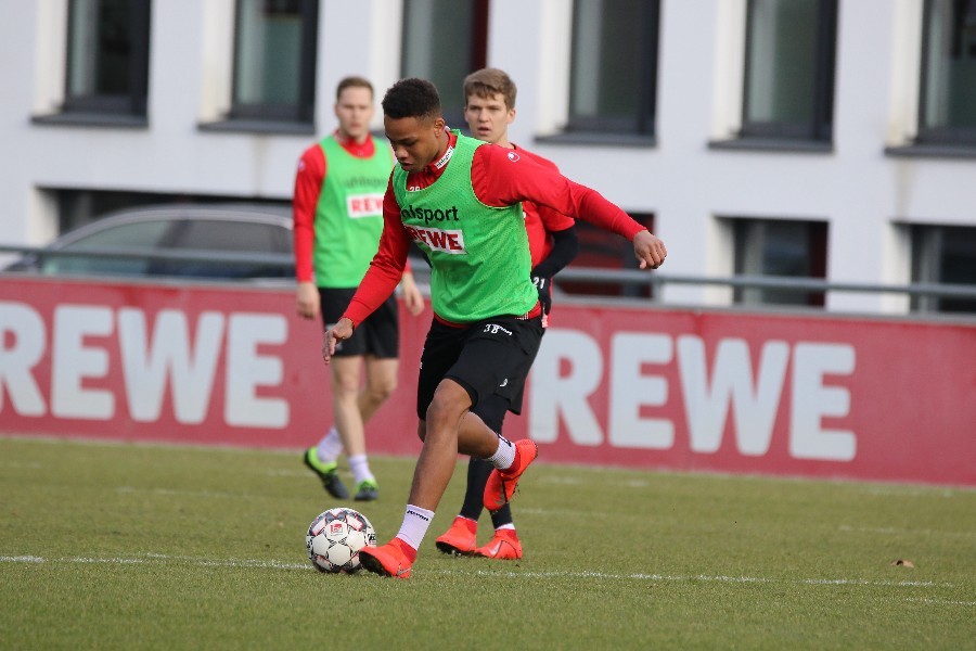 Training 1. FC Köln 19.02.2019_28