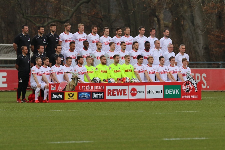 Training 1. FC Köln 19.02.2019_2