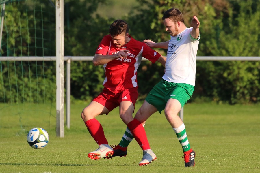 TSF Bracht II- DJK Fortuna Dilkrath II (2018/19)_19